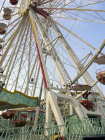 Landau 2005